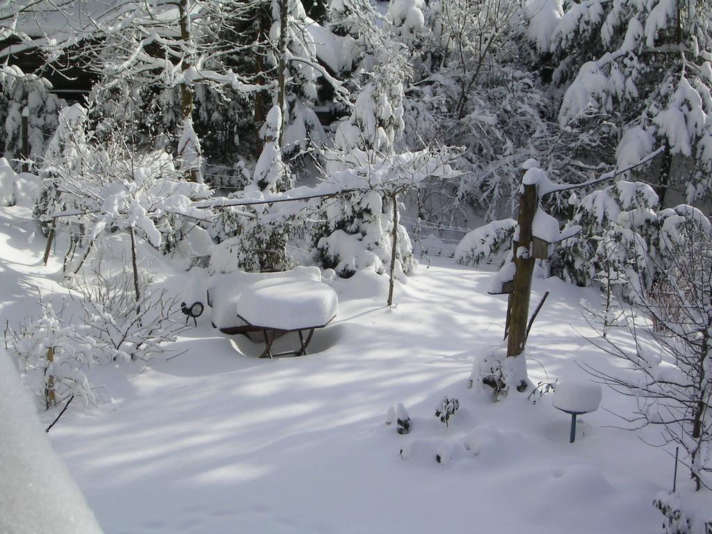 Ferienwohnung Im Harz-Haus-Bruns Clausthal-Zellerfeld Bagian luar foto