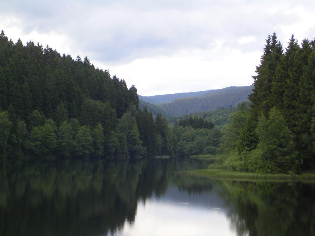 Ferienwohnung Im Harz-Haus-Bruns Clausthal-Zellerfeld Ruang foto