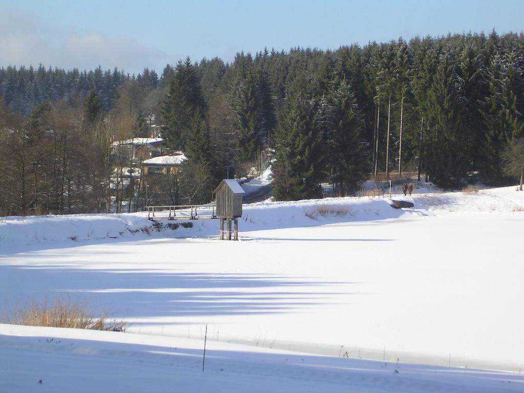 Ferienwohnung Im Harz-Haus-Bruns Clausthal-Zellerfeld Ruang foto