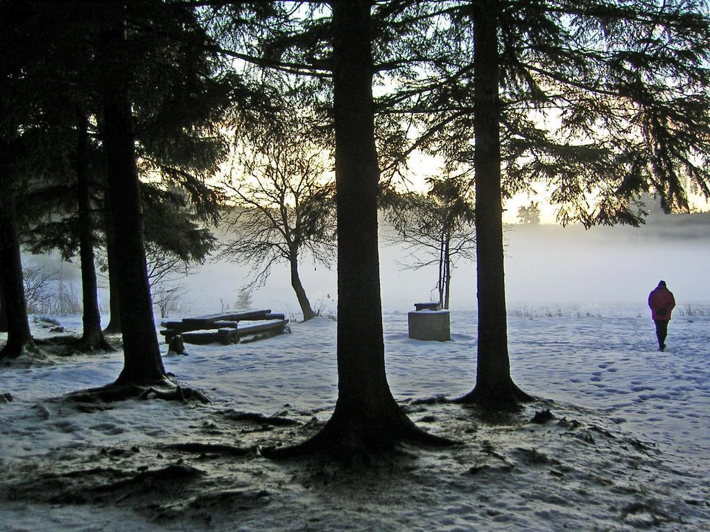 Ferienwohnung Im Harz-Haus-Bruns Clausthal-Zellerfeld Ruang foto