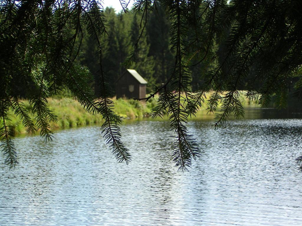 Ferienwohnung Im Harz-Haus-Bruns Clausthal-Zellerfeld Ruang foto