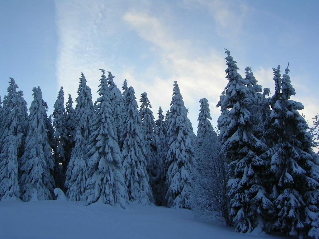 Ferienwohnung Im Harz-Haus-Bruns Clausthal-Zellerfeld Ruang foto