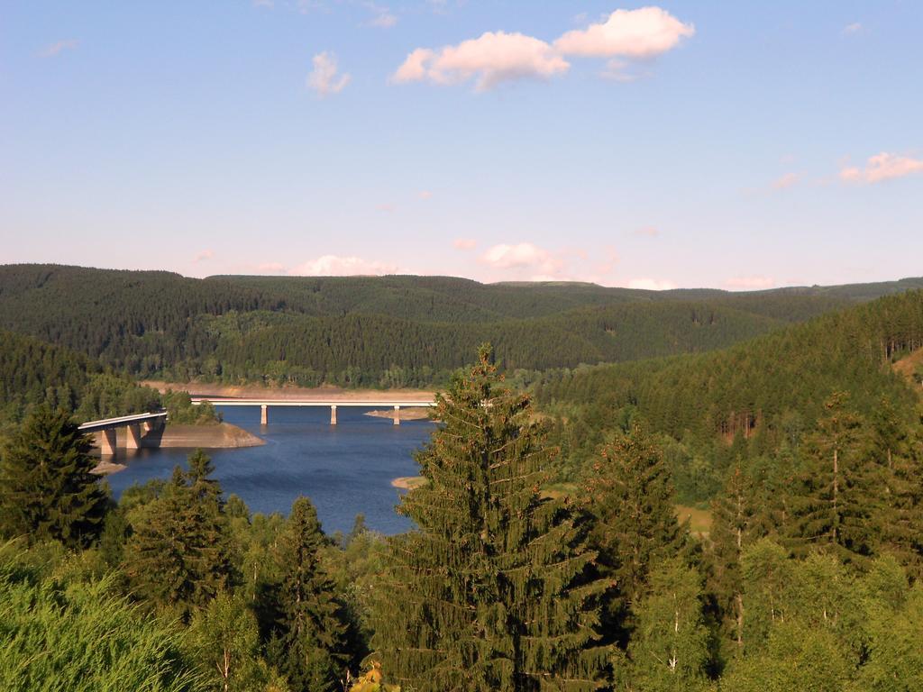 Ferienwohnung Im Harz-Haus-Bruns Clausthal-Zellerfeld Ruang foto