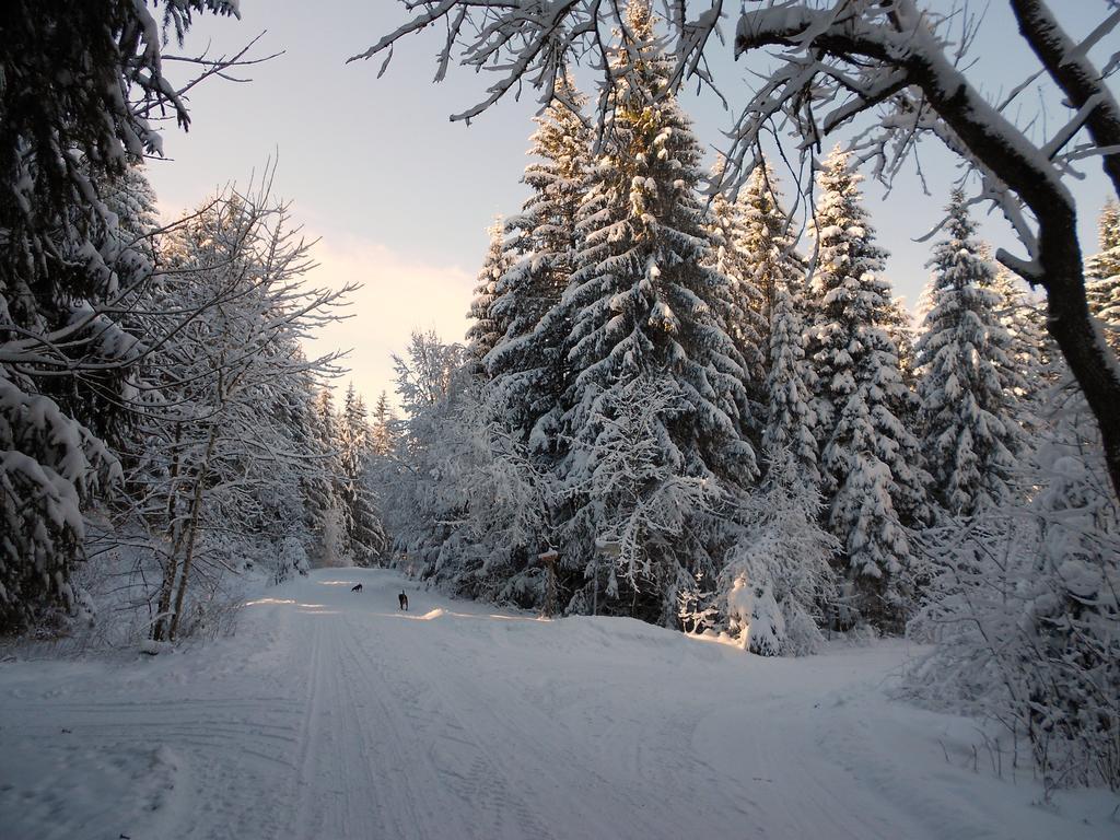Ferienwohnung Im Harz-Haus-Bruns Clausthal-Zellerfeld Bagian luar foto