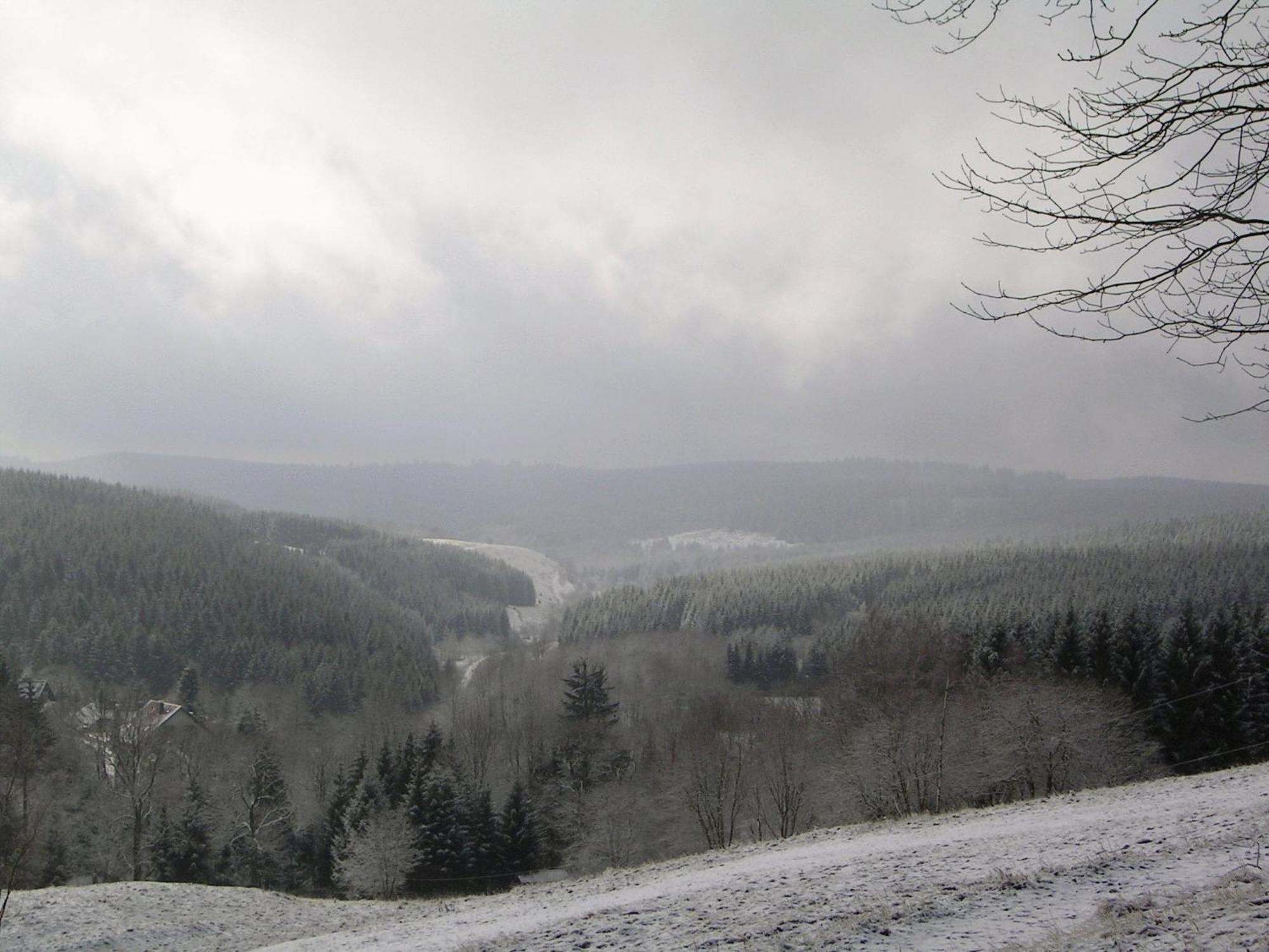 Ferienwohnung Im Harz-Haus-Bruns Clausthal-Zellerfeld Bagian luar foto