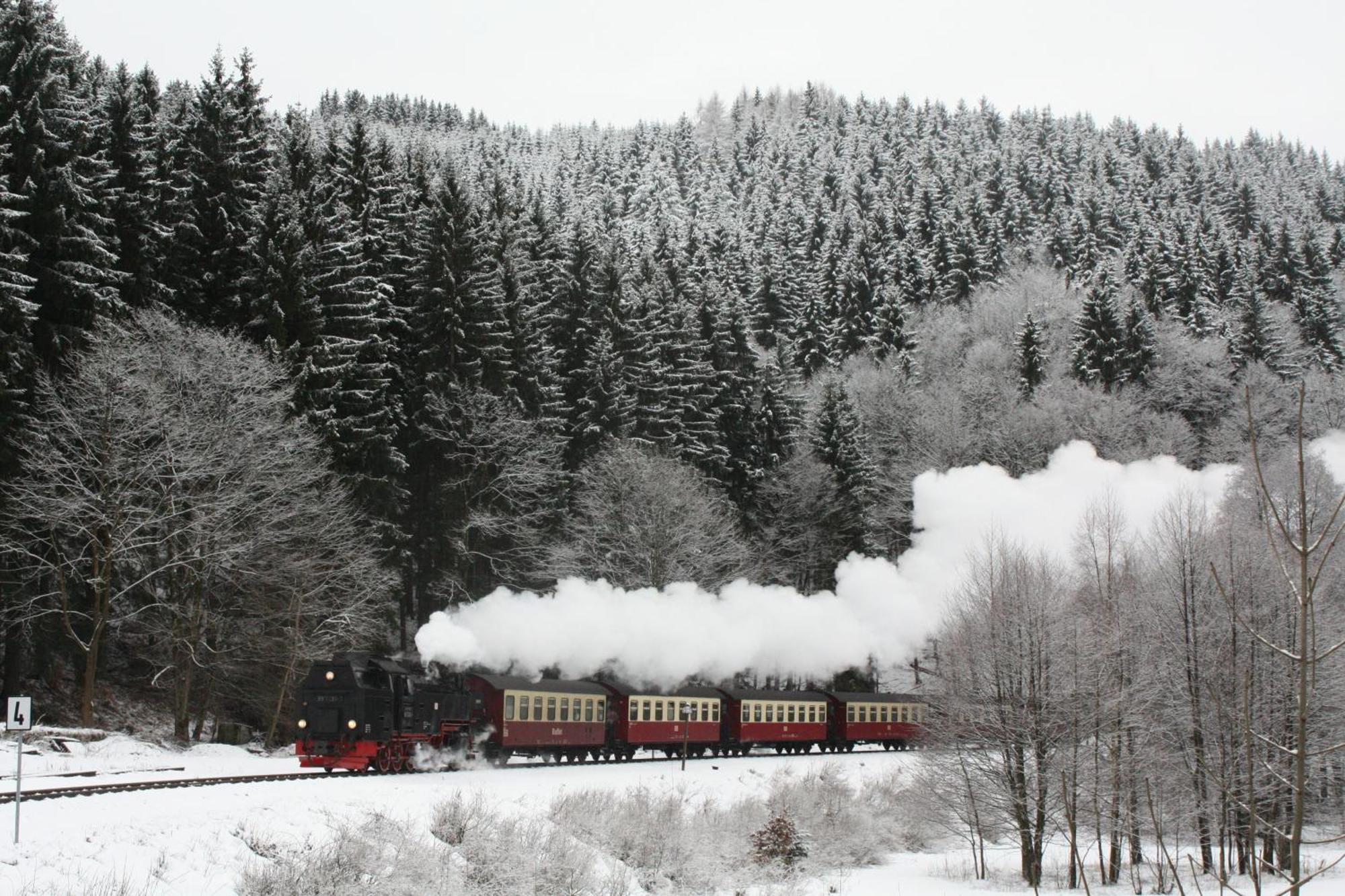 Ferienwohnung Im Harz-Haus-Bruns Clausthal-Zellerfeld Bagian luar foto