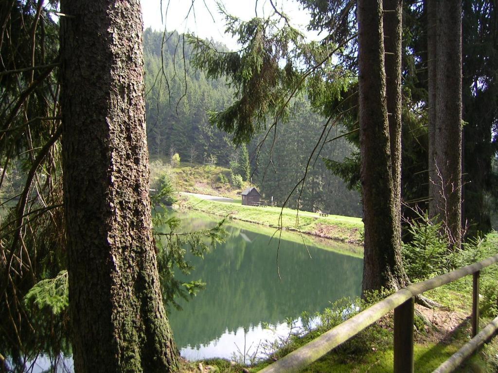 Ferienwohnung Im Harz-Haus-Bruns Clausthal-Zellerfeld Bagian luar foto