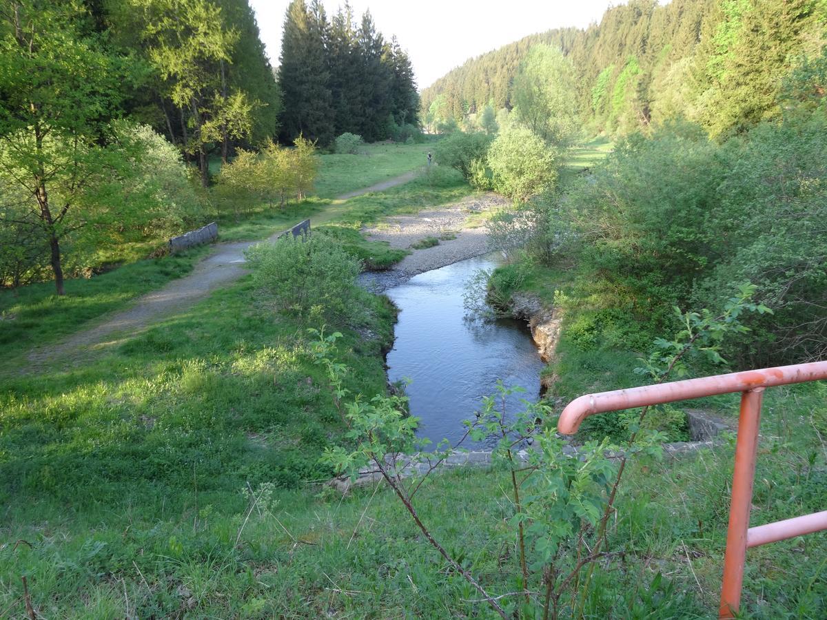 Ferienwohnung Im Harz-Haus-Bruns Clausthal-Zellerfeld Bagian luar foto